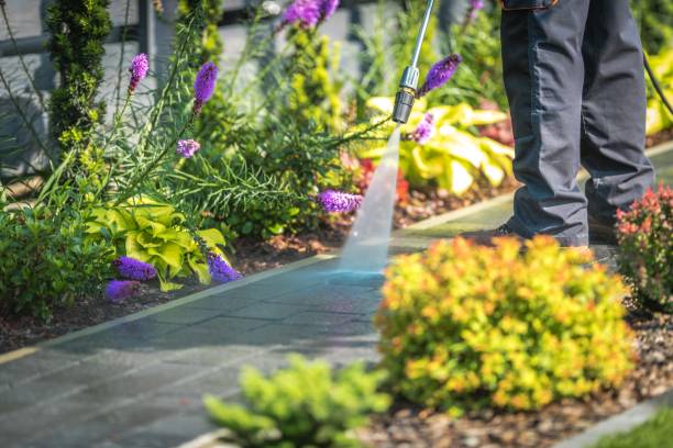 Best Parking Lot and Garage Cleaning  in Belmond, IA